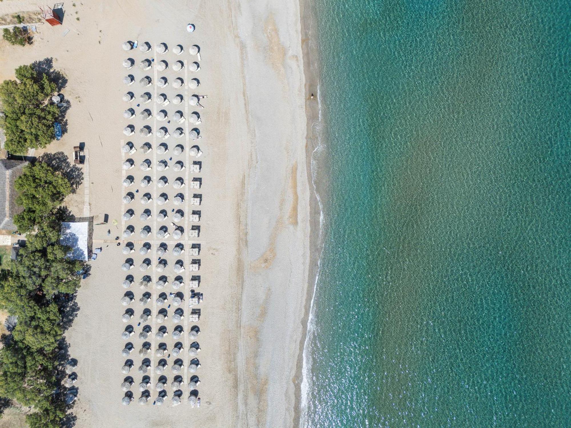 Hotel Iosifina, 80 Metres From Episkopi Beach! Dhramia Экстерьер фото